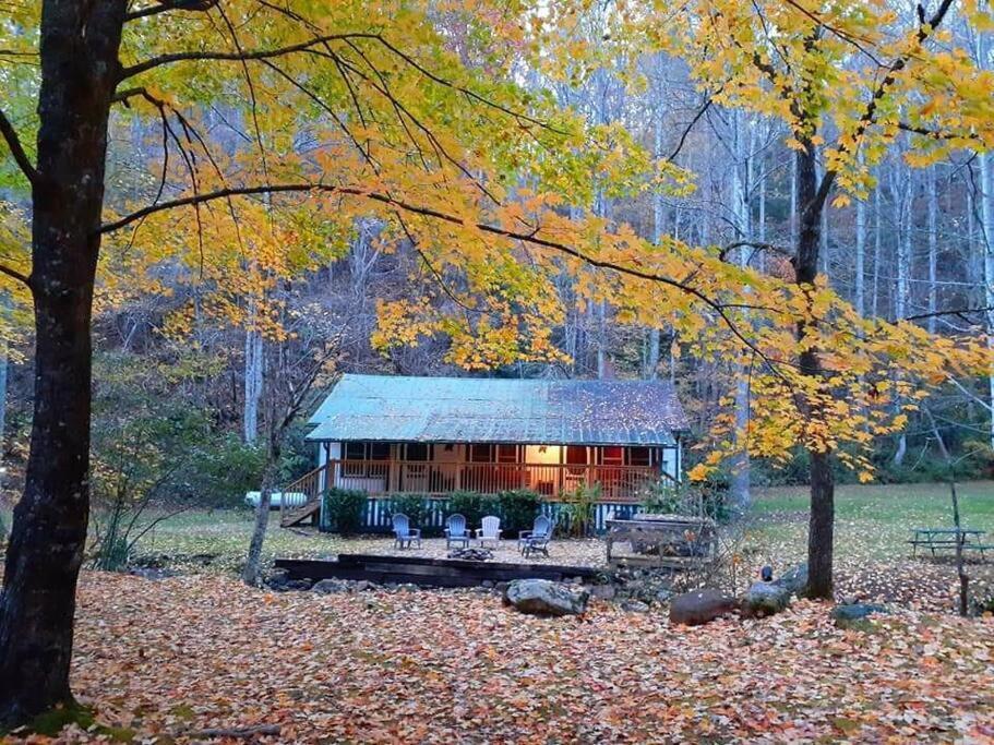 Вилла Creekside 1920'S Farmhouse Брайсон-Сити Экстерьер фото